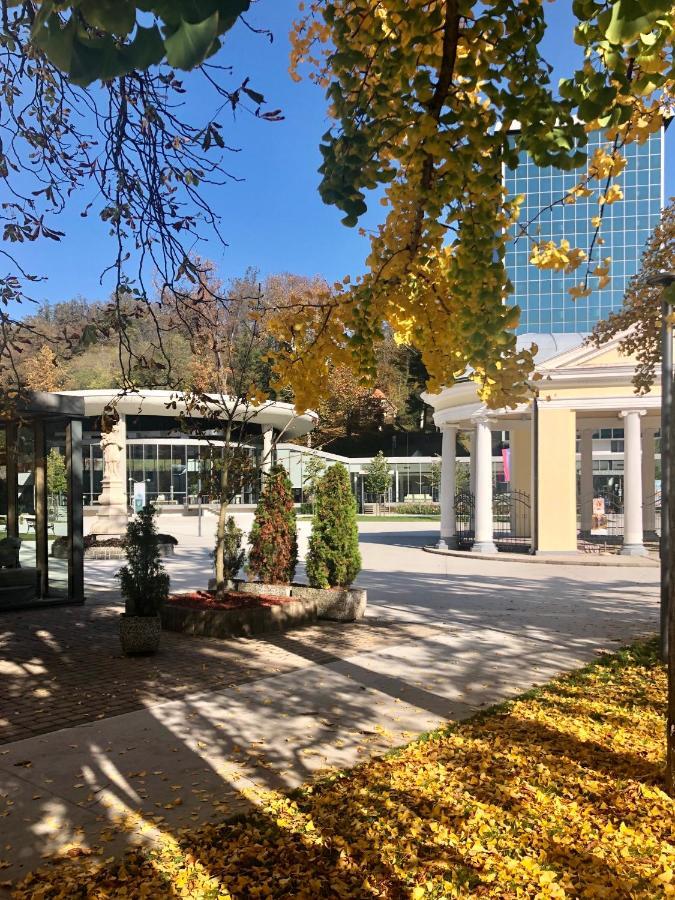 Apartment Vilapark 14 Rogaška Slatina Kültér fotó